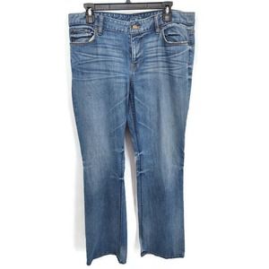 LOFT Original bootcut light wash jeans in size 14 long